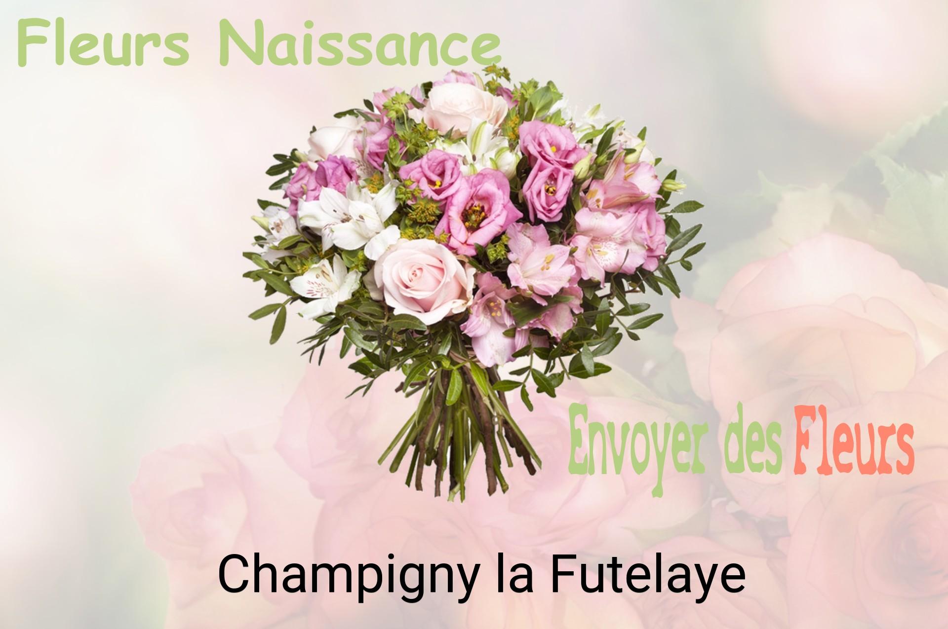 Bouquet de fleurs de naissance livré à Champigny-la-Futelaye